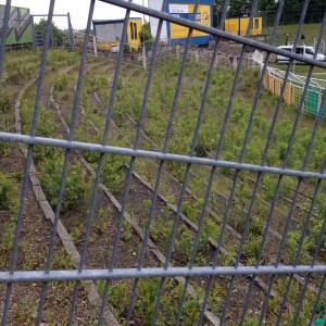 Bruno-Plache-Stadion Leipzig, links des Gästeblocks